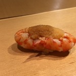 鮓職人 秦野よしき - 車海老