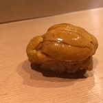 鮓職人 秦野よしき - 赤雲丹