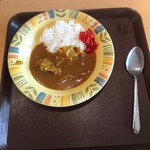 江東下町食堂 - カＬーごはんすくなめ