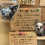 絆＋ - 5回以上のリピーターわんこ紹介