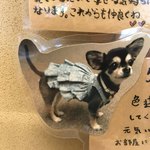 絆＋ - 5回以上のリピーターわんこ紹介