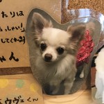 絆＋ - 5回以上のリピーターわんこ紹介