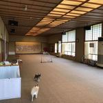 絆＋ - 屋内ドッグラン