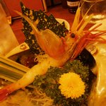 牛たん炭焼き 利久 - 【秋田県産】大ぼたん海老刺し(735円）②