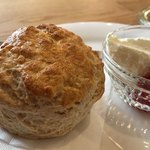 カフェ ウォルナット - 