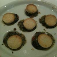 Benoit Alain Ducasse - 