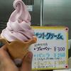 道の駅 つど～る・プラザ・さわら 物産館