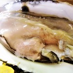 居酒屋 しあん - 