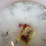 プレゼンテ スギ - 鱧　2017