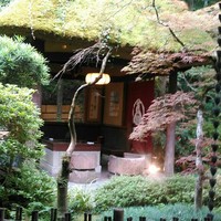 うかい鳥山 - 