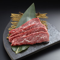 クラシタカルビ