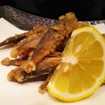 寿司処　初川 - 