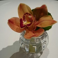 シェ・イノ - 