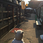 日本一小さなインド家庭料理 ドーン食堂 印度山 - 