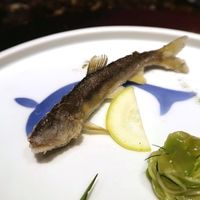 佐賀牛 Sagaya 銀座 - 稚鮎のフリットと花ズッキーニ