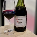 波へい - カッシェロ・デル・ディアブロ シラーズ