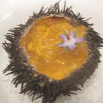 ル・ヴァンキャトル - ウニ、コンソメジュレ、ニンジンピュレ、フエフキダイスモーク、ボリジの花　これが最高すぎた。2017年ベスト前菜かも。殻の内側もパンですくう(笑)。