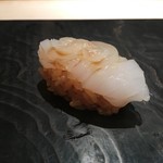 鮨 とかみ - アオリイカ