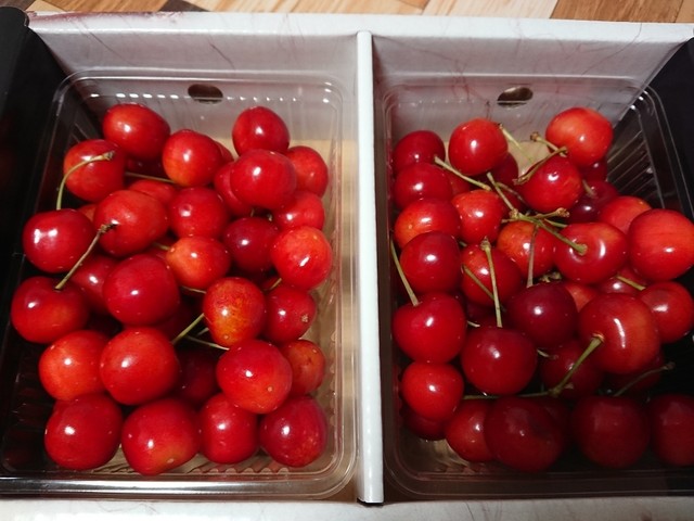 中根農園 &ndash; 西米沢の魅力と評価｜山形県米沢市の農園レストラン