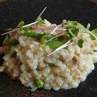 スパッツィオ･イノ - 