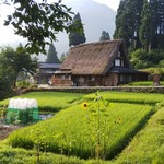 民宿　五ヨ門 - 喉かな朝
