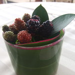 エノテーカ ピンキオーリ - 