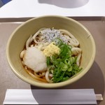 ジャパングルメポート - しらすおろしぶっかけうどん