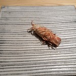 鮨 巳之七 - 車海老の頭の塩焼き。