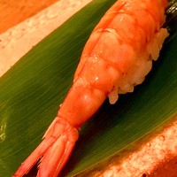 しらさ海老