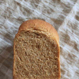 パンヤコット_1