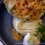 本格手打 もり家 - 