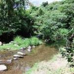 ベーカリー＆テーブル 東府や 足湯カフェ - 