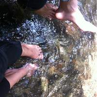 ひろ文 - 川の水に足もつけて遊べます（笑）