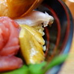 あづま寿司 - 穴子