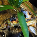 比良山荘 - 焼き物【安曇川の鮎塩焼き】