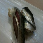 勝美 - コハダと今が旬のシンコ