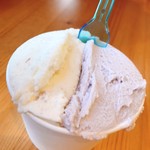 大池ジェラート 風水花 - ダブル（400円）
