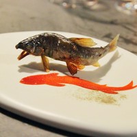 S'ACCAPAU - 