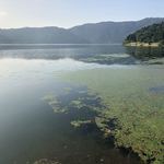 徳山鮓 - 余呉湖