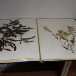 INUA - 資料の一部