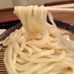 讃岐つけ麺 寒川 - 麺中盛り(1.5玉 約450g) + 100円