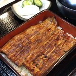 Unagi Mejiro Zorome - 