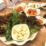 콩미가손두부 - 野菜 モリモリ