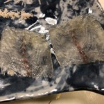 鰻はし本 - うな刺し