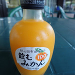 Fujisaki - ストレートみかんジュース「飲むみかん」