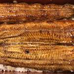 鰻はし本 - 鹿児島 伊崎田の鰻重