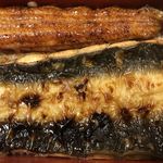 鰻はし本 - 鹿児島 伊崎田の鰻重