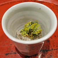 草喰 なかひがし - 桂瓜、スベリヒユ、えごま、ウイキョウの花