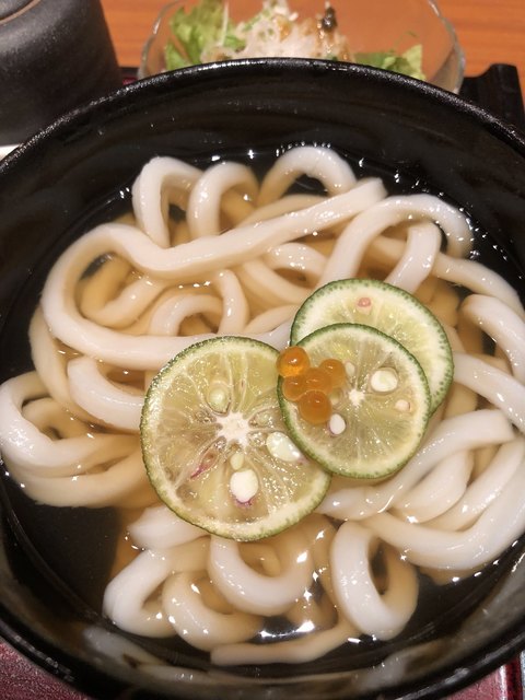 うどんのう おおたかの森店 流山おおたかの森 うどん 食べログ うどんのう おおたかの森店 流山おおたかの森 うどん 食べログ