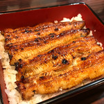 うなぎ 魚政 - 天然鰻